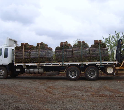 Lake Wyangan Turf Supplies - Lake Wyangan, NSW