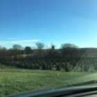Valley View Tree Farm