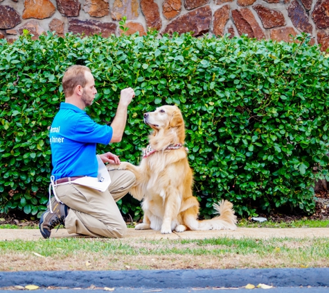 Kennelwood Pet Resort - Saint Louis, MO