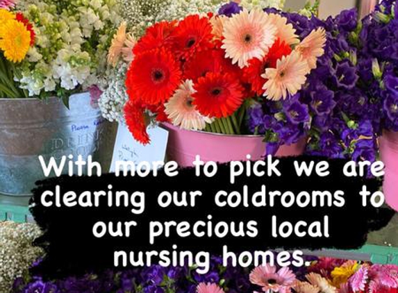 Birkdale Flowers The Flower Farm - Birkdale, QLD. They are so generous and pay it forward!