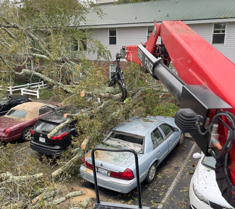 Palmetto Tree Service - Mount Pleasant, SC