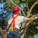 J & L Tree Service - Forestry Consulting