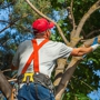 J & L Tree Service