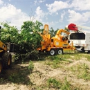 Arbor Master Tree Service - Tree Service