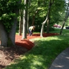 Powell Property Maintenance & Tree Service gallery