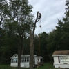 Bill's Tree Service gallery