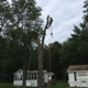 Bill's Tree Service