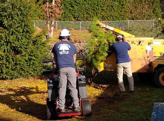 DC Tree Services - Osterville, MA