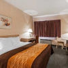 Quality Inn Tulalip - Marysville gallery