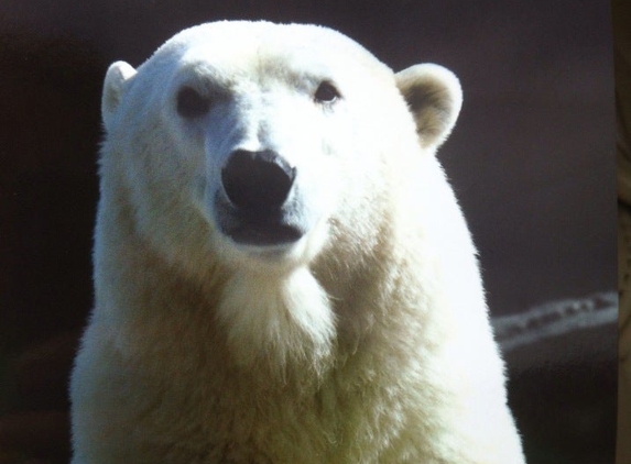 Alaska Zoo - Anchorage, AK