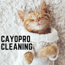 CayoPro - Steam Cleaning