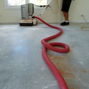 Gallery Image Number 8