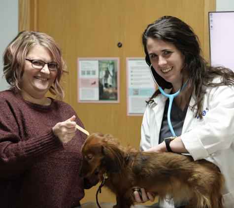 VCA Marshalltown Animal Hospital - Marshalltown, IA