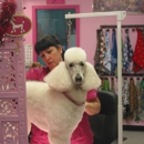 A Paw Spa - Dog & Cat Grooming & Supplies