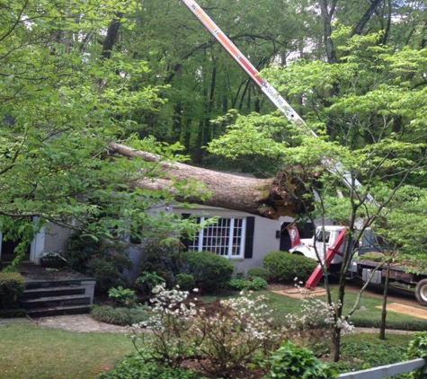 Stanley Tree and Landscaping - Cartersville, GA