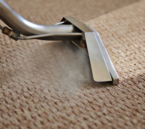 Five Step Carpet Care