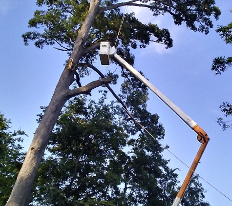 L-Bolt Professional Tree Service Co - Newburgh, IN