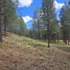 B&B Wildland Fire Corporation gallery