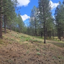 B&B Wildland Fire Corporation - Fireproofing
