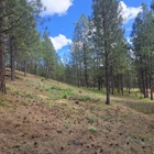 B&B Wildland Fire Corporation