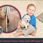 Carpet Cleaner Fresno