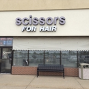 Scissors For Hair - Cosmetologists