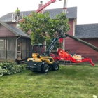 T&T Tree Service