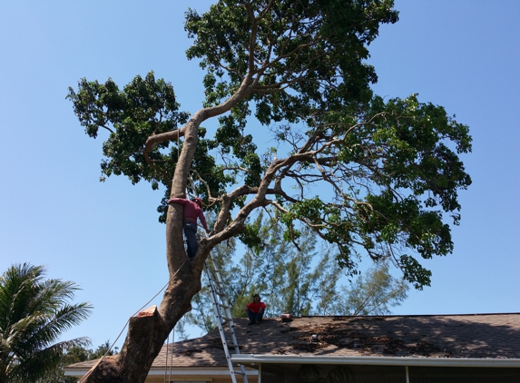 Hurricane Tree Services & Landscaping inc. - Naples, FL