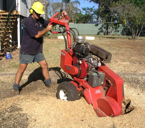 Bear Stump Grinding Services - Burpengary East, QLD