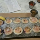 Greenpoint Fish