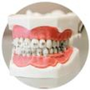 Janulis Dental Laboratory Inc - Dental Labs