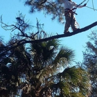 John sisco tree service