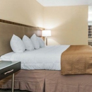 Quality Inn - Motels