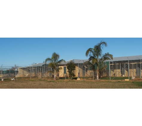 Peak Hill Boarding Kennels - Parkes, NSW