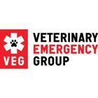 The Veterinary Emergency Group