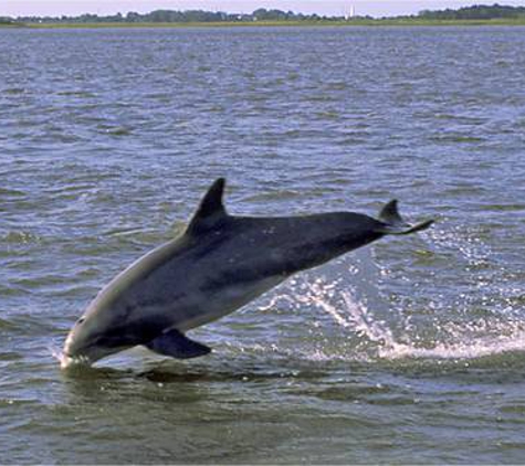 Jekyll Island Boat Tours - Jekyll Island, GA