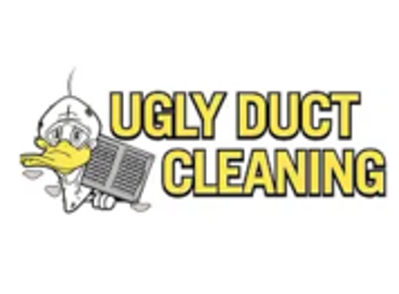 Ugly Duct Cleaning
