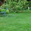 Lawn Doctor - Lawn Maintenance