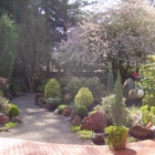 Manzanita Landscape