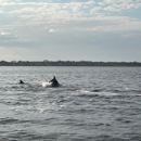 Loggerhead Daytona Beach Marina - Marinas
