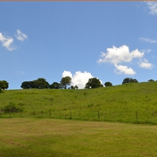 Gallery Image Number 1