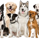 Brown's Dog Training Lodging & More - Dog Day Care