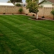 Israel & Son Landscaping