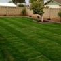 Israel & Son Landscaping