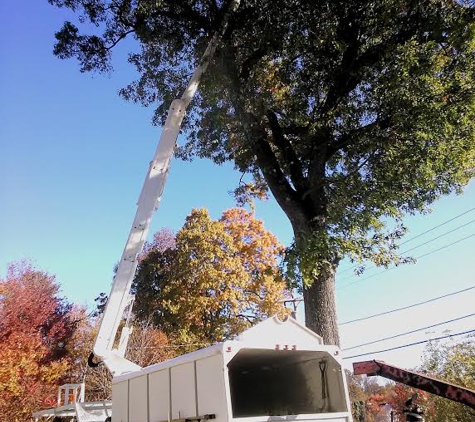 Dudley's Tree and Landscape - Haverhill, MA