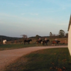 Hartman Cliff Farms