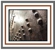Hunter Valley Seat Specialists - Upholsterers