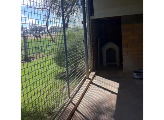 Glen-Milton Dog Boarding Kennels & Cattery - Duri, NSW