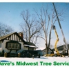Dave's Midwest Tree Service gallery