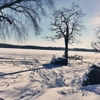 Lake Elizabeth Sandbar gallery